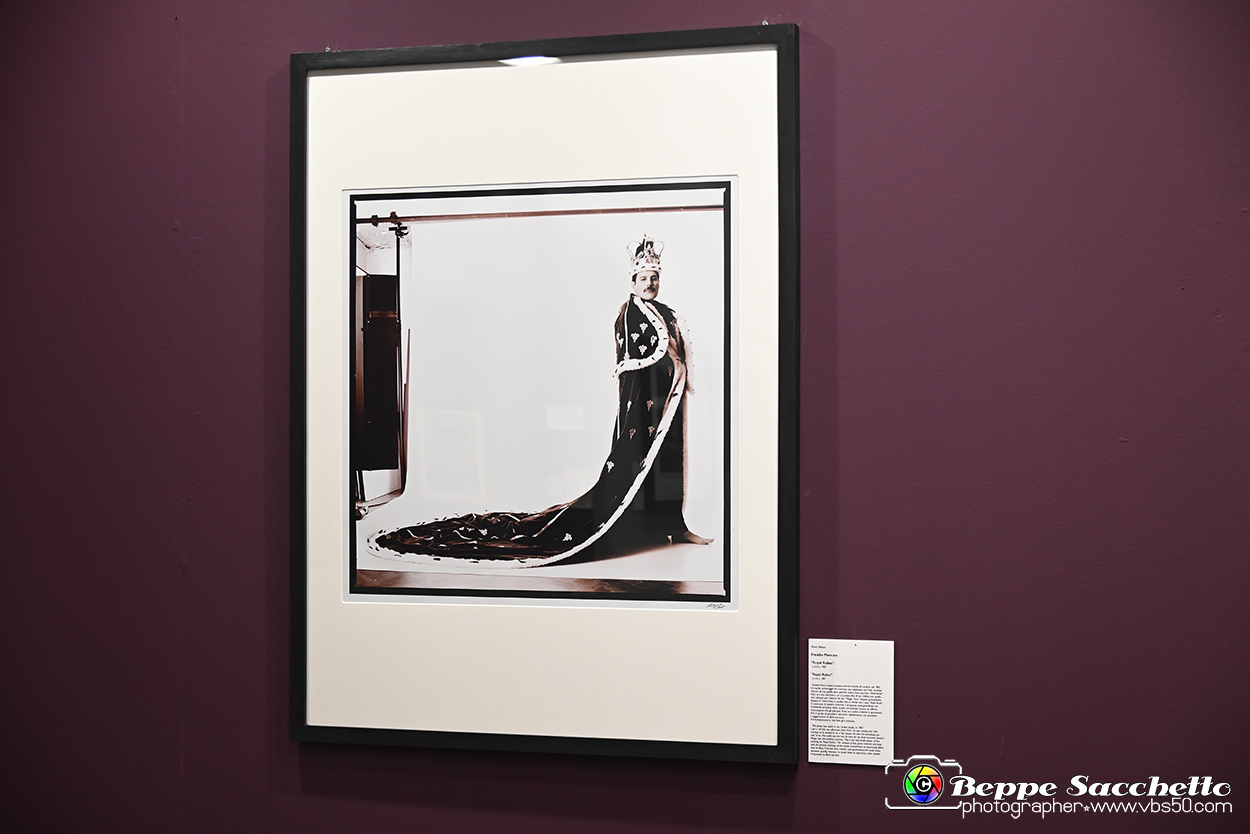 VBS_1664 - Mostra Peter Hince - Queen Experience.jpg